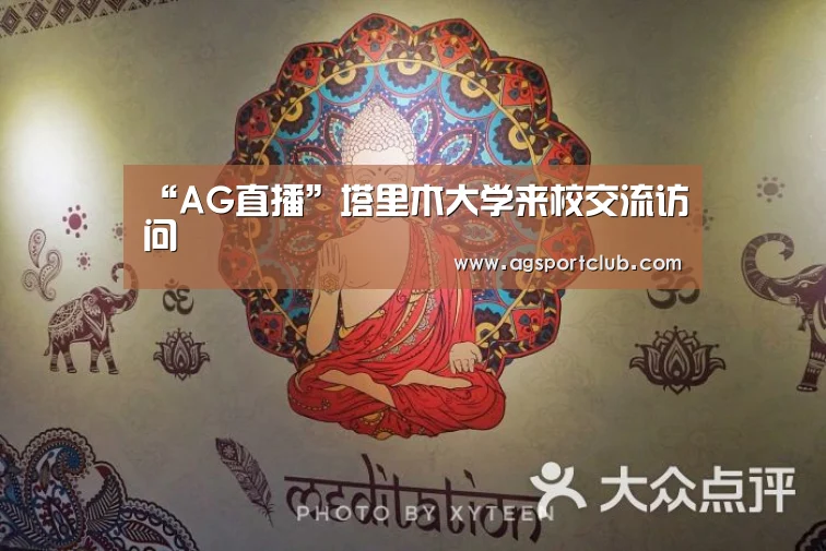 AG视讯