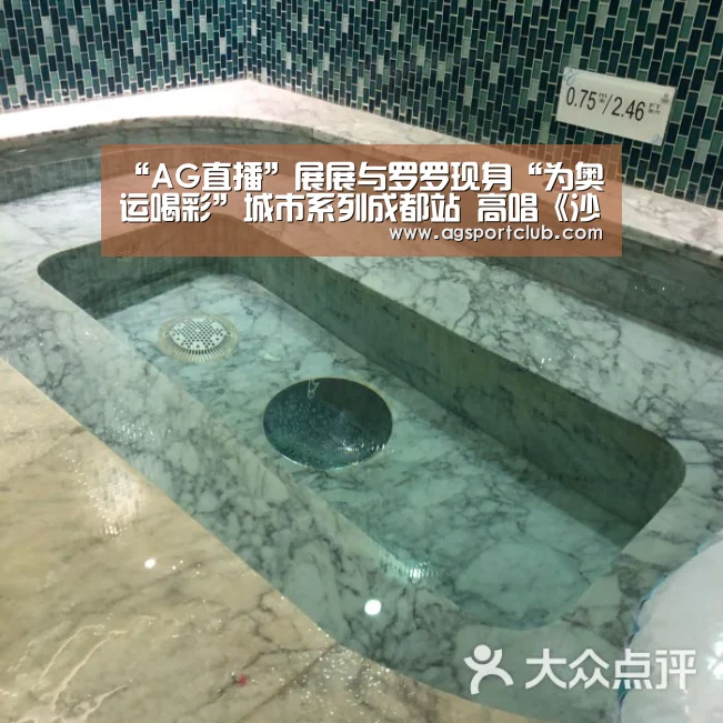AG百家乐