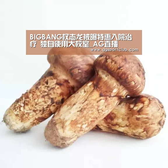 BIGBANG权志龙被曝特惠入院治疗 独自使用大校室_AG直播