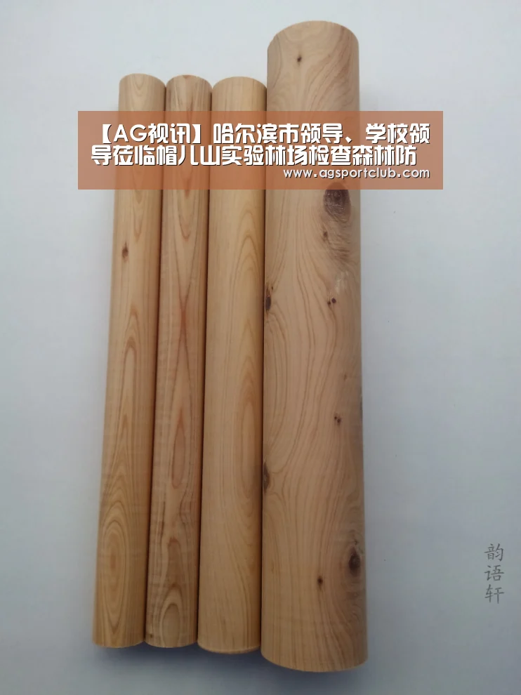 【AG视讯】哈尔滨市领导、学校领导莅临帽儿山实验林场检查森林防火工作(图3) AG直播